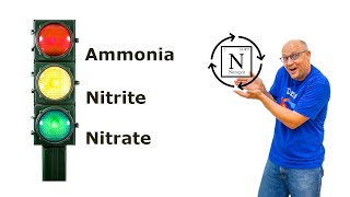 Aquarium Nitrogen Cycle made SIMPLE [upl. by Maccarthy]