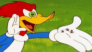 Woody Woodpecker Show  Party Animal  Full Episode  Kids Cartoon  Videos For Kids [upl. by Notyalk]