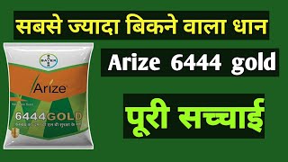 arize 6444 gold paddy seed  6444 gold dhan price  dhan ki top varieties 2022 6444dhan [upl. by Olim]