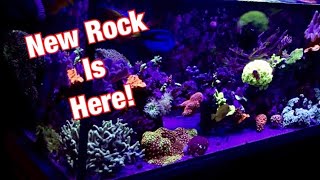 SC Aquariums 100 Gallon Tank Update ep18 CaribSea Life Rock [upl. by Katharina301]