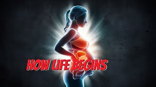 The Science of Pregnancy How Life Begins [upl. by Elocaj]