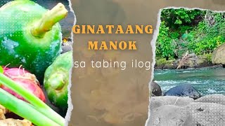 Ginataang Manok sa tabing ilog [upl. by Efeek]