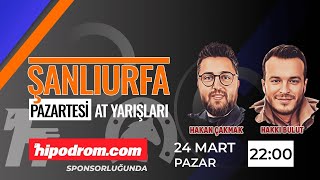 25 Mart 2024  Şanlıurfa At Yarışı Tahminleri  Hakkı Bulut  Hakan Çakmak [upl. by Lucho]