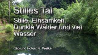 Stilles Tal  Horneselswiese [upl. by Jennica]