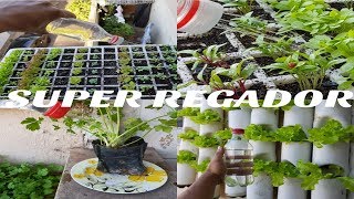 MELHOR REGADOR PARA SUA PLANTAS [upl. by Cathee]