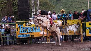 JINETES DE NICARAGUA COSTA RICA Y MEXICO vs LOS MEJORES TOROS OCTUBRE 2017 [upl. by Janaya688]