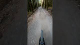 A470 New Section downhill mountainbike mtb bikeparkwales bpw A470 bikejump [upl. by Cohen]