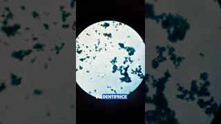 Dentifrice X400🤩 microscope science zoom dentifrice shorts [upl. by Lertram94]