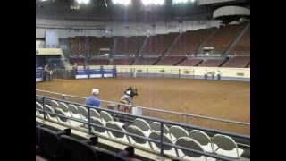 Linda Brown OKC Cowboys of Color May 2016 [upl. by Yaron355]