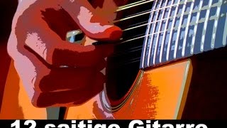 Die beste 12 saitige Gitarre  Testsieger und PreisLeistungsSieger Gitarrekaufennet [upl. by Sid]