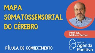 O Mapa Somatossensorial do Cérebro [upl. by Edyaj526]