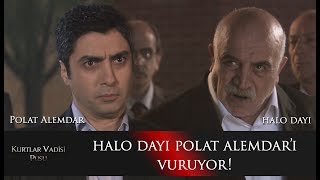 Halo Dayı Polat Alemdarı vuruyor [upl. by Satterlee139]