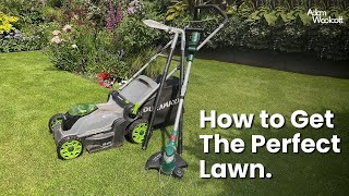 How to get the PERFECT LAWN [upl. by Eneg730]