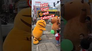 Baby Tiger and Cabypara super CUTE funny mascot cute babytiger [upl. by Ilac879]