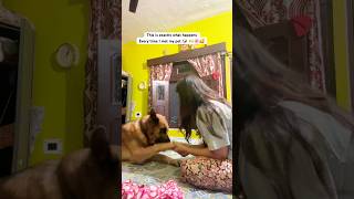 This bond is so pure🐶🫶🥰This is exactly what happens when I met my pet 🐶 🥰dog loverpetsvlog [upl. by Plossl]