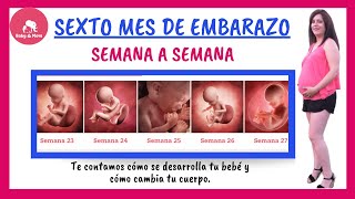 Sexto mes de embarazo sintomas cuidados y desarrollo del feto 🤱Embarazo semana a semana👶 [upl. by Itnahs879]