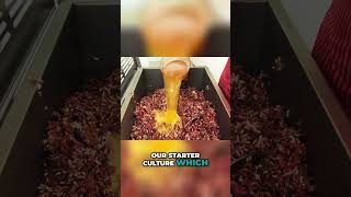 Mastering Salami Fermentation Secrets Revealed [upl. by Aiahc562]