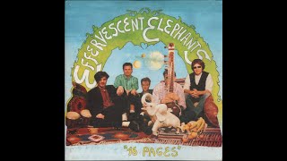 EFFERVESCENT ELEPHANTS  16 PAGES    PsychOut Records PO33001  1995    FULL ALBUM [upl. by Assilac658]