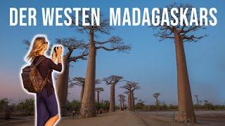 BAOBAB ALLEE 🇲🇬Der Westen Madagaskars [upl. by Cotsen]