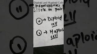 Diploid and Haploid Cells [upl. by Asnerek]