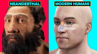 What Do NEANDERTHAL Genes Say About Us Today [upl. by Gonsalve]