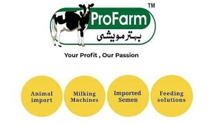 DeLaval Milking Machine  Bucket Milking System BMS4  Cow Cattle Farming  ProFarm Pakistan [upl. by Sivet]