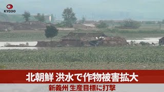 北朝鮮 洪水で作物被害拡大 新義州、生産目標に打撃 [upl. by Ihcehcu]