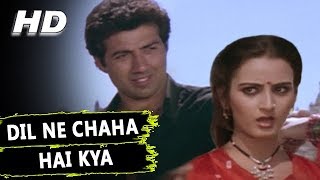 Dil Ne Chaha Hai Kya  Kavita Krishnamurthy  Yateem 1988 Songs  Sunny Deol Farah Naaz [upl. by Vanden]