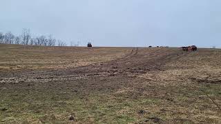 January 27 2024 Unrolling hay in the mud [upl. by Tomas]