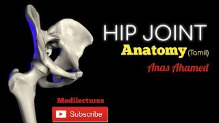 Hip Joint anatomy clearly explained Tamil medilecturestamil [upl. by Nima]