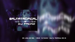 09 Luna De Miel Virus DJ FACKO SALTA TROPICAL MIX 19 [upl. by Beaston660]