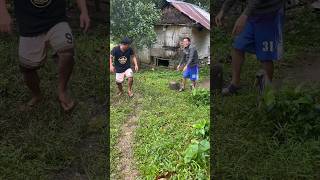 Malaking Gagamba nga funnyvideo joketime [upl. by Lliw912]