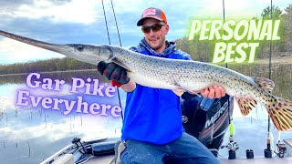 Muskys Canada Pike Tournament  Personal Best Garpike Sight fished [upl. by Solakcin681]