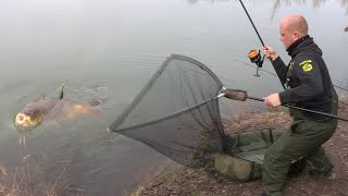 Pecanje šarana na jezerima pored reke Save kod Zagreba u Opštini Rugvica  Carp fishing [upl. by Fregger]