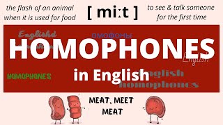 TOP 39 Homophones in English – Meanings amp Examples [upl. by Igig]