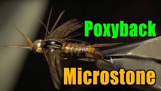 Poxyback Microstone Stonefly Nymph Fly Tying  Mike Mercer Fly Pattern [upl. by Narih]