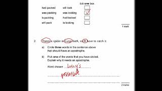 CGP SPAG SATs Buster Set B Test 1 walkthrough  Year 6 SATs Punctuation and Grammar Revision [upl. by Artim920]