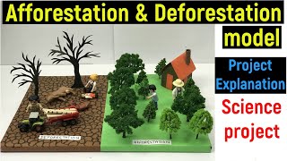 afforestation and deforestation model explanation  afforestation and deforestation explanation [upl. by Htebazie]