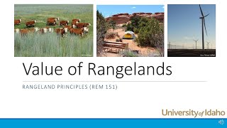 Values of Rangelands [upl. by Nahor]