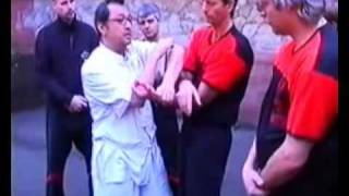 Wing Tsun Leung Ting Tutorial Chi Sao 10 [upl. by Ynabla]