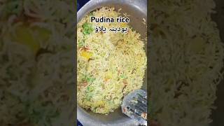 Pudina Rice RecipeMint Rice Recipeپودینہ پلاؤsummervibes ricerecipe mintpulao shorts mint [upl. by Ehudd]