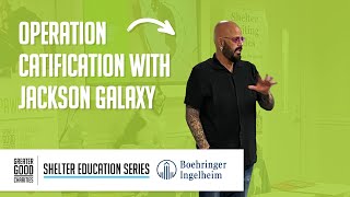 Operation Catification With Jackson Galaxy [upl. by Harim]