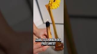 😯Te Sorprenderá quien creó el PALO SANTO 🌲 palosanto sanacion magia [upl. by Ailbert]