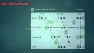 Articulatory Phonetics Introduction to International Phonetic Alphabet [upl. by Bernhard]