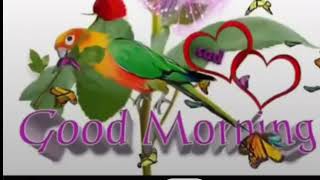 good moaning WhatsApp status Malayalam [upl. by Pegma65]