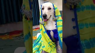 Dog comedy 😂dog comedy short funnyvideos [upl. by Noret]