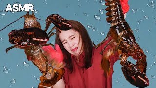 Mukbang 살아있는 가재 먹방🌊Live Lobster Sashimi クレイフィッシュ gia tài กุ้งนาง 螯蝦屬 Eatingsound Realsound ASMR [upl. by Beulah746]