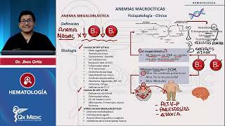 HEMATOLOGÍA  Anemias macrocíticas Anemia megaloblástica [upl. by Noirod]