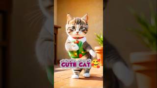 Cat Dance🎉🐾💓shorts cat catvideos catdance [upl. by Idona]