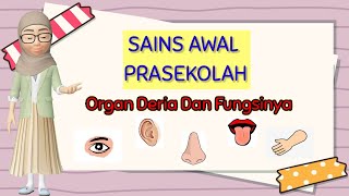 ORGAN DERIA amp FUNGSINYA  SAINS AWAL PRASEKOLAH [upl. by Joktan398]